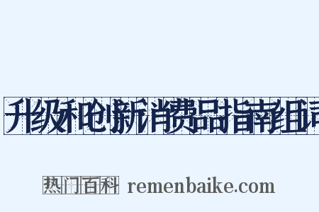 升级和创新消费品指南组词是什么意思的图片